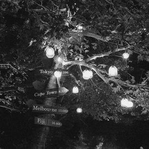 欧美激情电影在线
